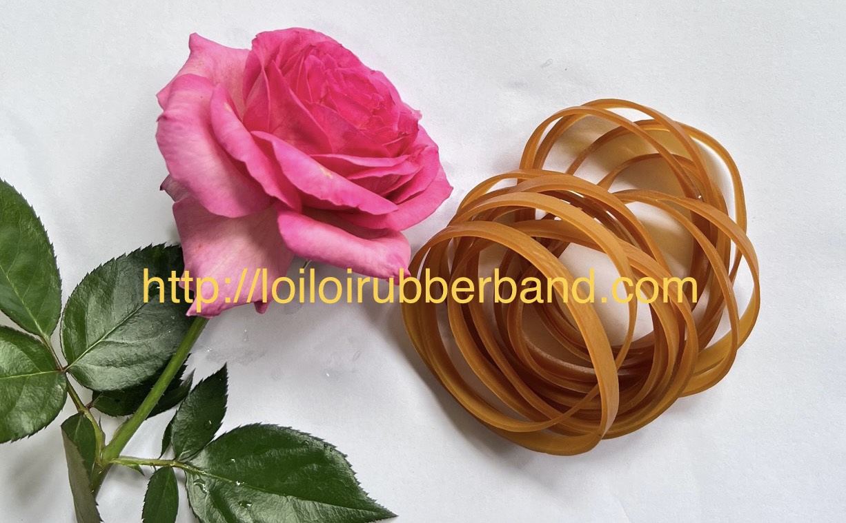 Simple design of high quality natural rubber band