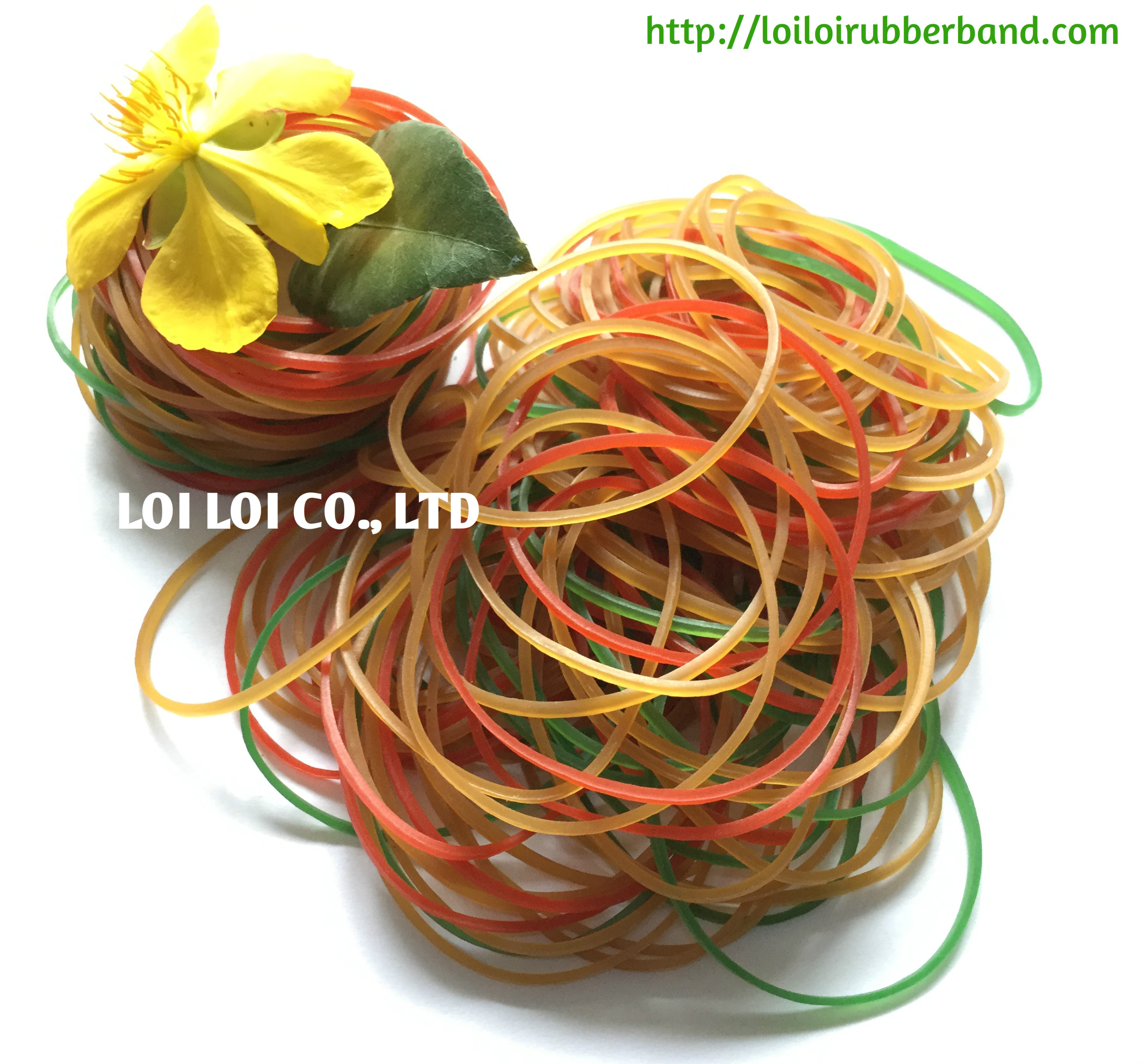 2020 newest 100% Natural Rubber Bands Manufacturer from Vietnam / Environmental Elastic Rubber Band Hot sell to tie up hair 
