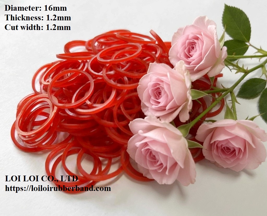 About Loi Loi