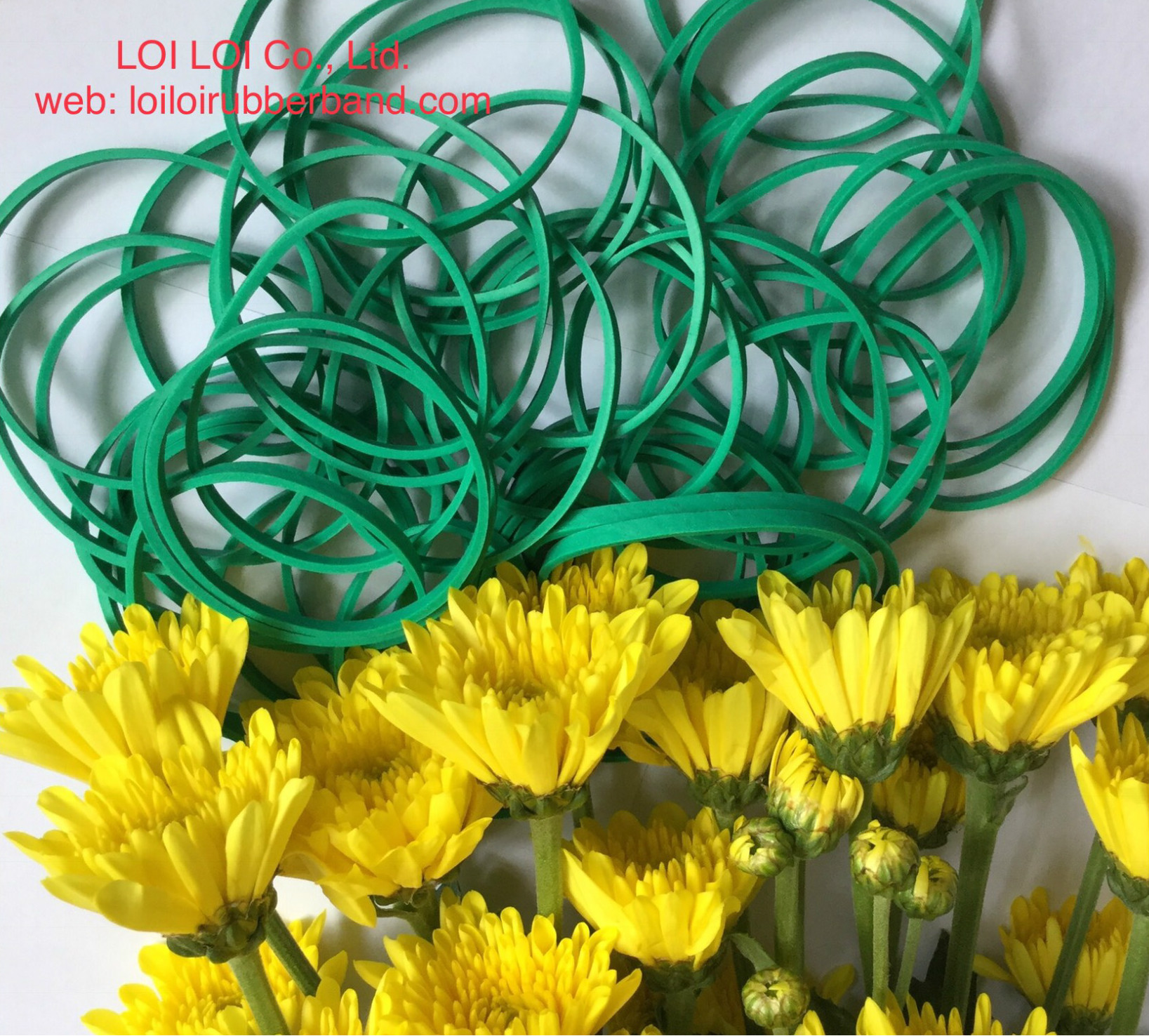 Acceptable price natural eco-friendly rubber band wholesale Vietnam manufacturer / 2019 high strength & toughness durable bands Waterproof